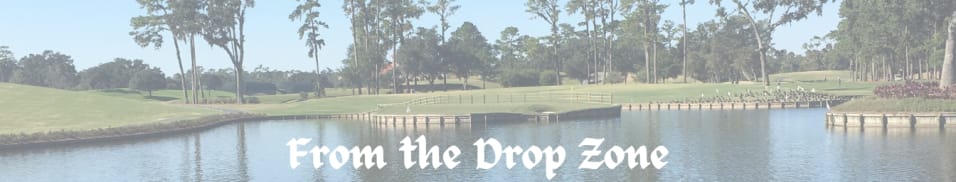 From the Drop Zone