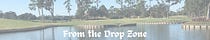 From the Drop Zone