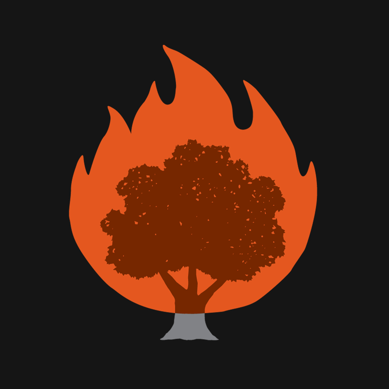 The Daily Pulse of Immanuel