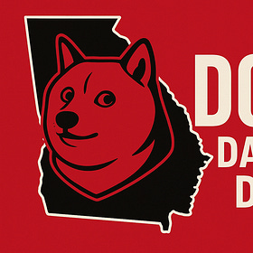 DOGE Dreams and Georgia Data Nightmares