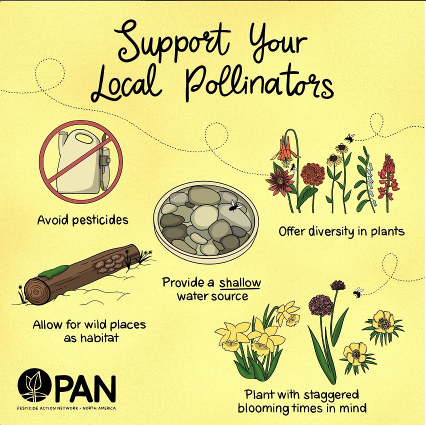 Support your Local Polinators graphic