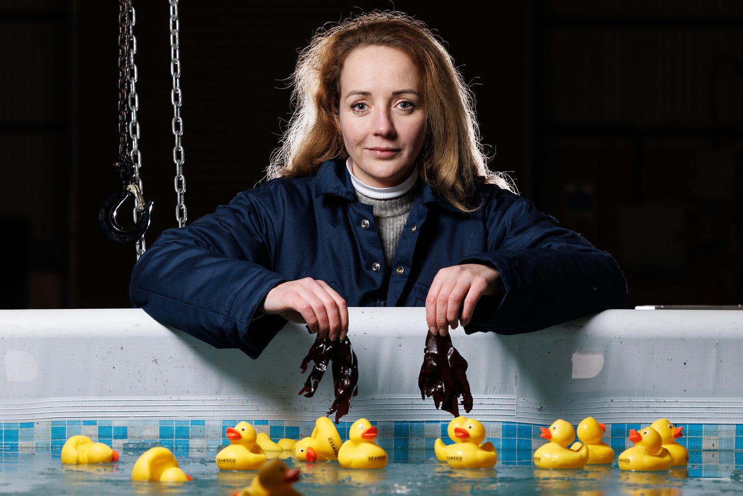 Wave of new firms looking to take seaweed mainstream