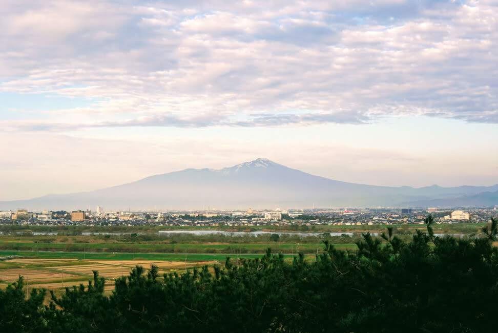 The Pink Octopus and the Disappearing Towns of Japan