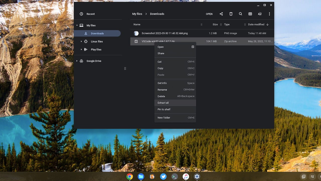 Chrome OS 102 features ZIP files