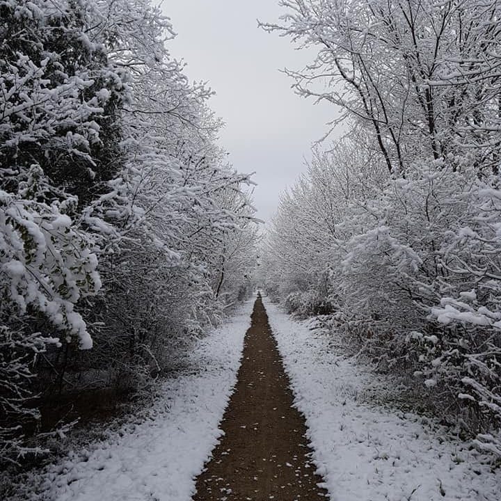 Timothy’s Substack