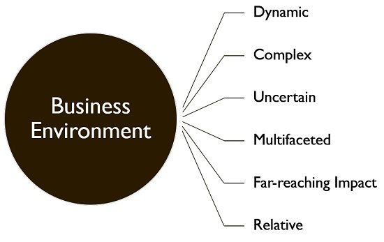 CONCEPT OF BUSINESS ENVIRONMENT SALIENT FEATURES OF BUSINESS ENVIRONMENT