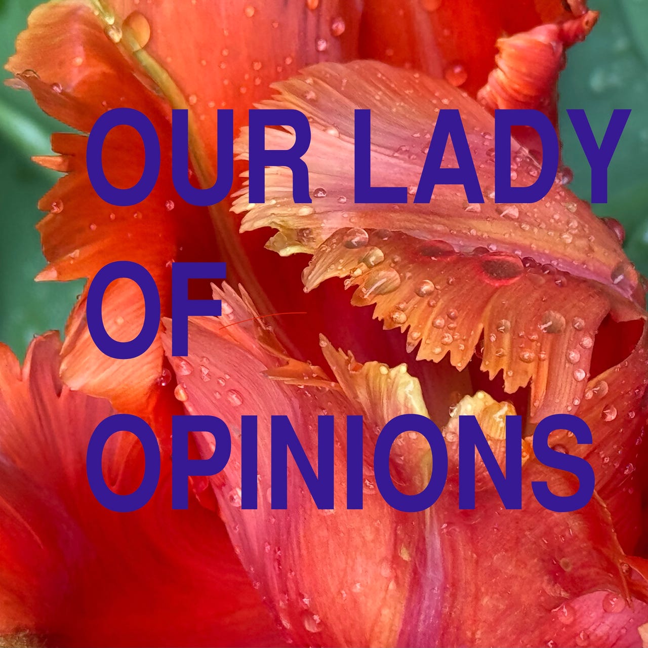 Our Lady of Opinions