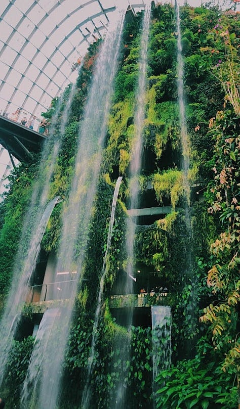 Gardens by the Bay