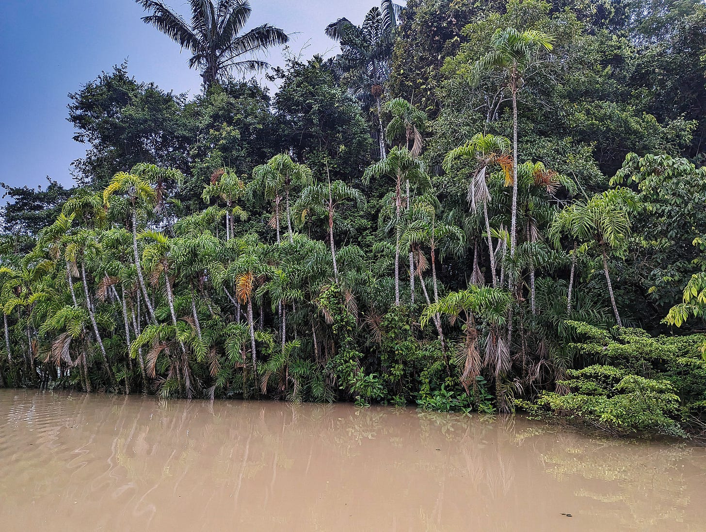 Oxbow lake during a rain storm in the Amazon rainforest. My photo