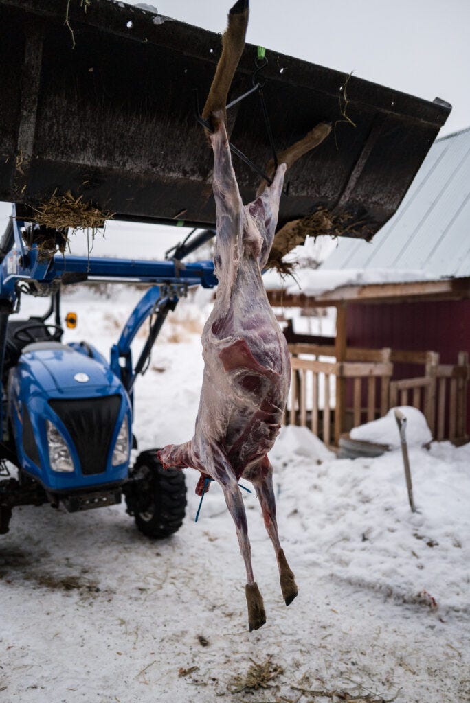 Lamb Meat: Cutting, Wrapping, and How To Cook It | The Elliott Homestead (.com)