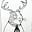 Jef Otte's avatar