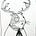 Jef Otte's avatar