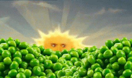 Sunshine Sunshine