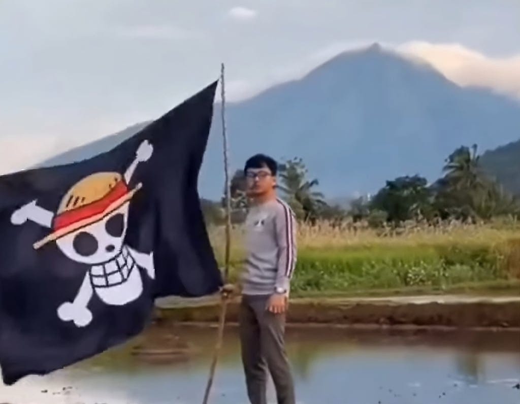 Indonesians fly anime pirate flag in Independence Day ...