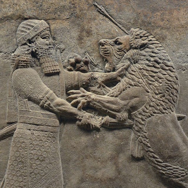 Detail from the Assyrian Royal Lion Hunt reliefs, showing a dying male lion, carved between 645 and 635 BC from the palace at Nineveh, now housed in the British Museum.