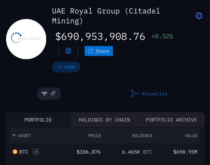 Screenshot of a dark-themed financial dashboard interface displaying UAE Royal Group Citadel Mining logo and details, current value of 690953908.76 dollars with -0.52 percent change, portfolio section showing BTC holdings of 6.46K BTC valued at 699.95M dollars, price of 106876 dollars, and tabs for holdings by chain and portfolio archive.