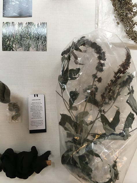 Photos showing natural dyeing experimentation, with sheets of samples with various fibre and fabric types, and two garment examples from the Phoebe English studio.