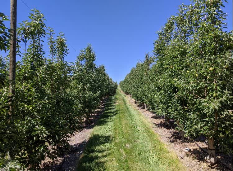 FarmTogether - Invest in US Farmland