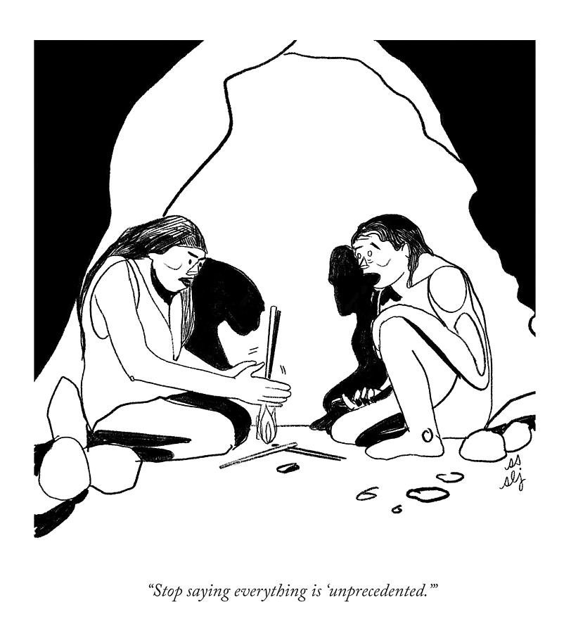 Unprecedented by Sophie Lucido Johnson and Sammi Skolmoski