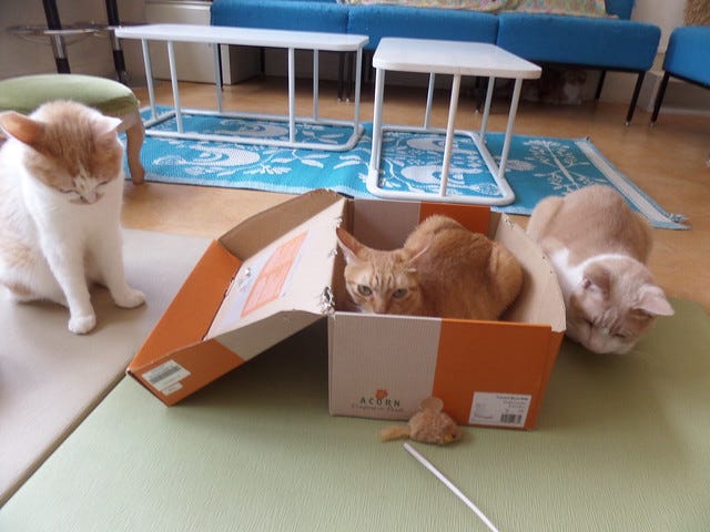 Defending the box Defending the box