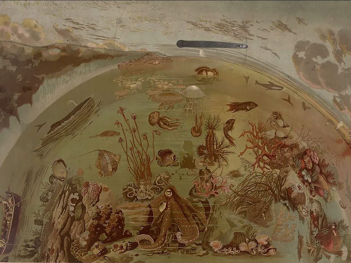Physical Geography, with the map’s submarine layer displayed, by Levi Walter Yaggy, 1887. Public Domain Review.