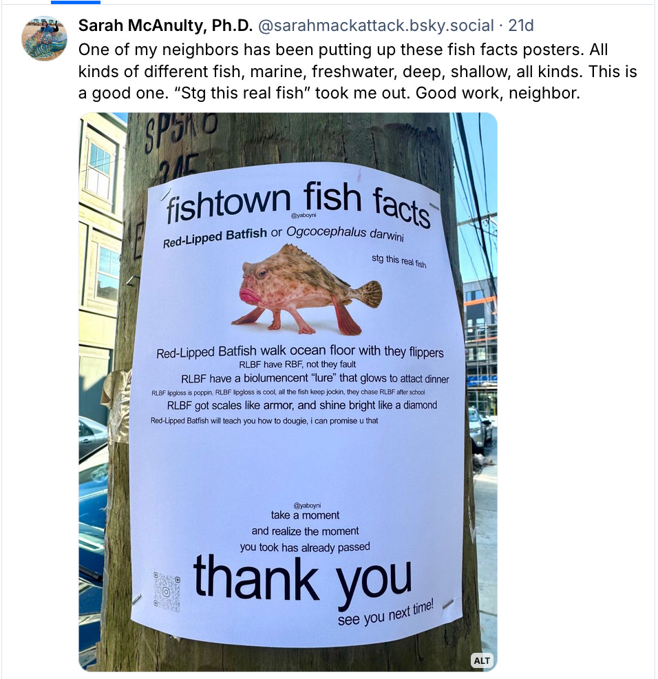 A Bluesky post about neighborhood fliers sharing facts about specific species of fish. A Bluesky post about neighborhood fliers sharing facts about specific species of fish.