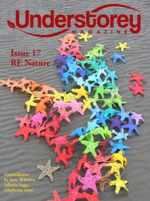 Issue 17