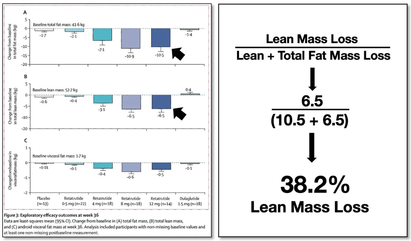 A chart of lean mass

AI-generated content may be incorrect.