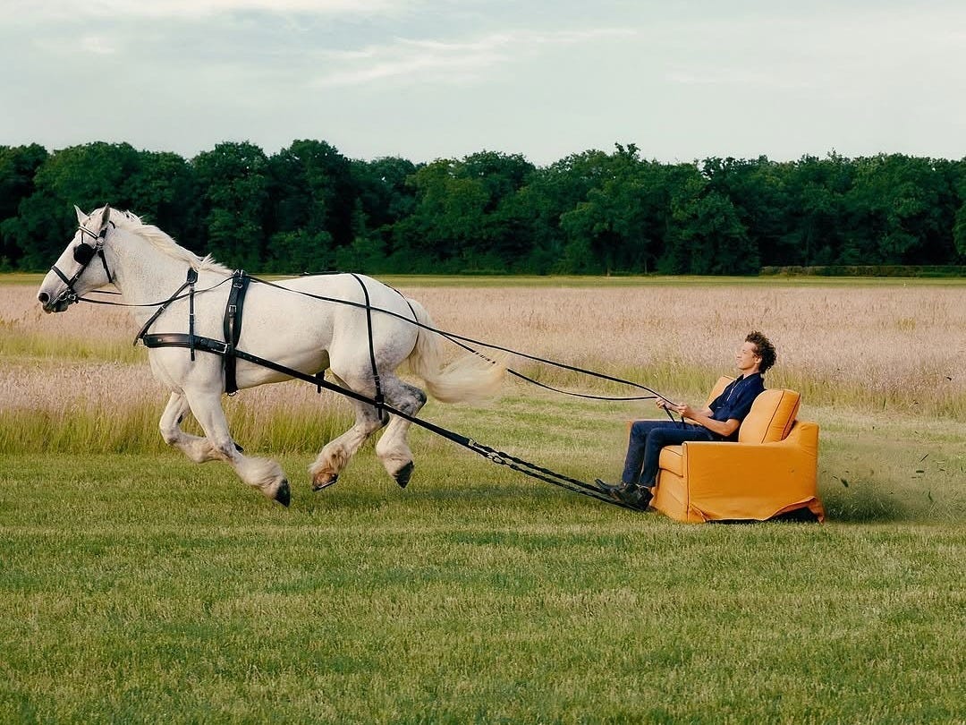 May be an image of horse