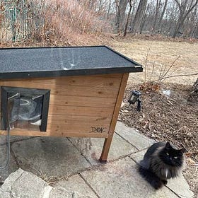 Contrarian Pet of the Week