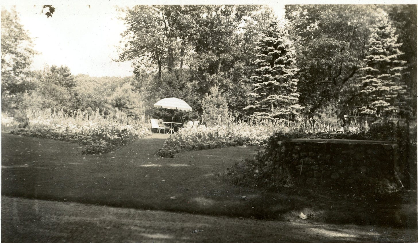 table and chairs in a garden
