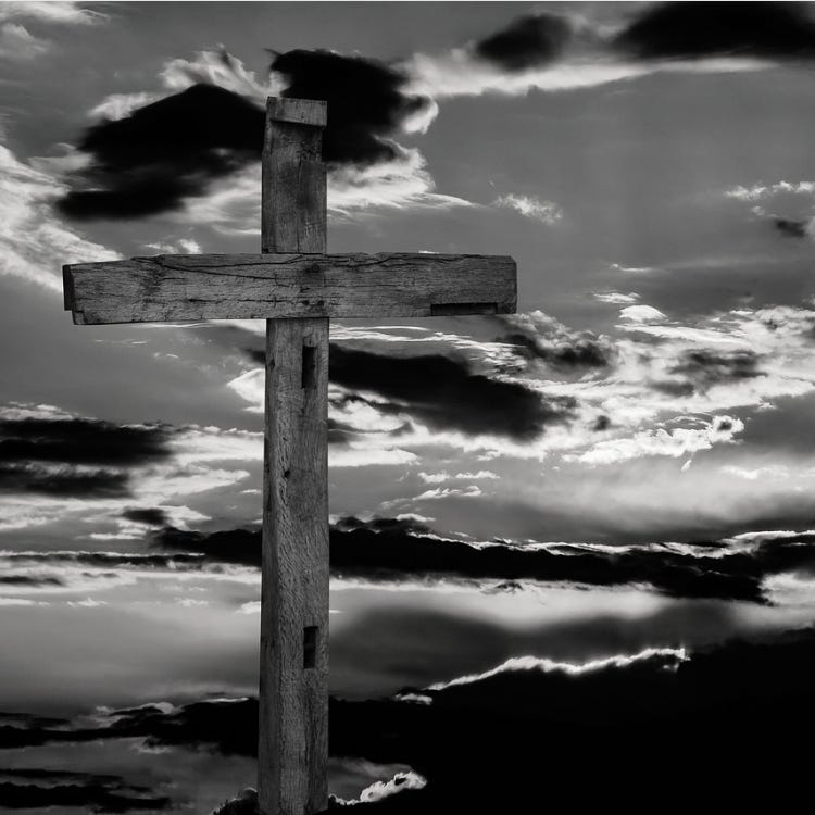 Snicky’s Newsletter