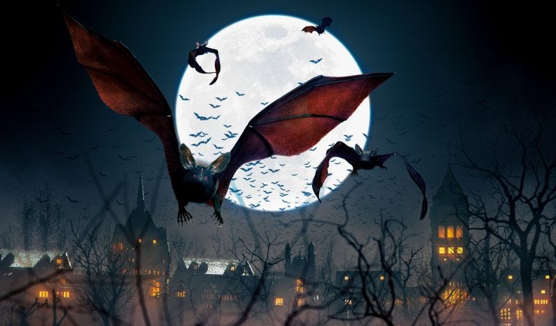 Nosferatu in the Wake of the Covid Experience Nosferatu in the Wake of the Covid Experience