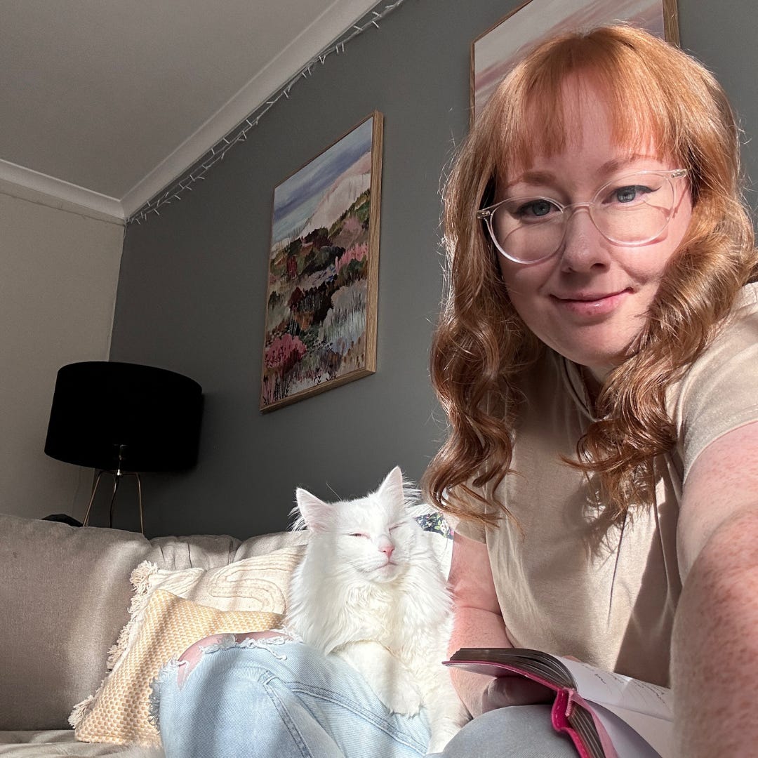 abundant on a budget