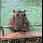 The Top 2025 Ways To Impeach The Supreme Court! Tabs, Thurs., July 11, 2024