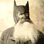 User's avatar