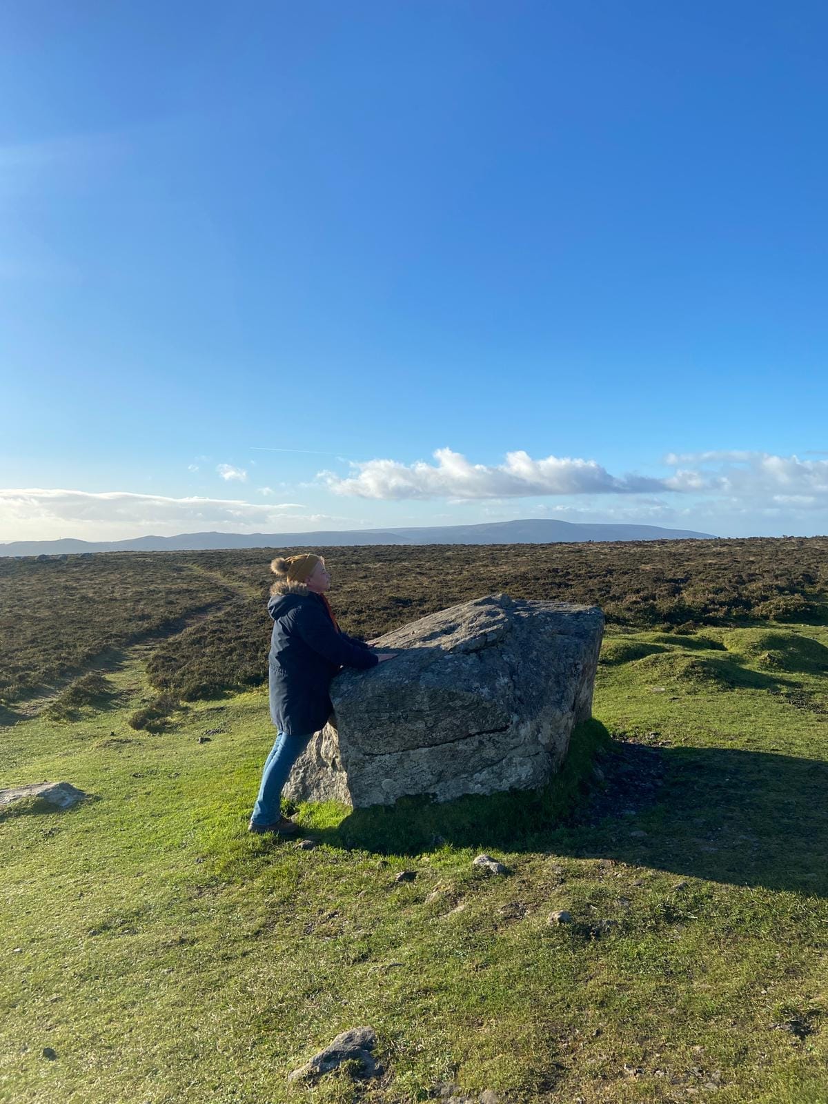 Tracy’s Newsletter