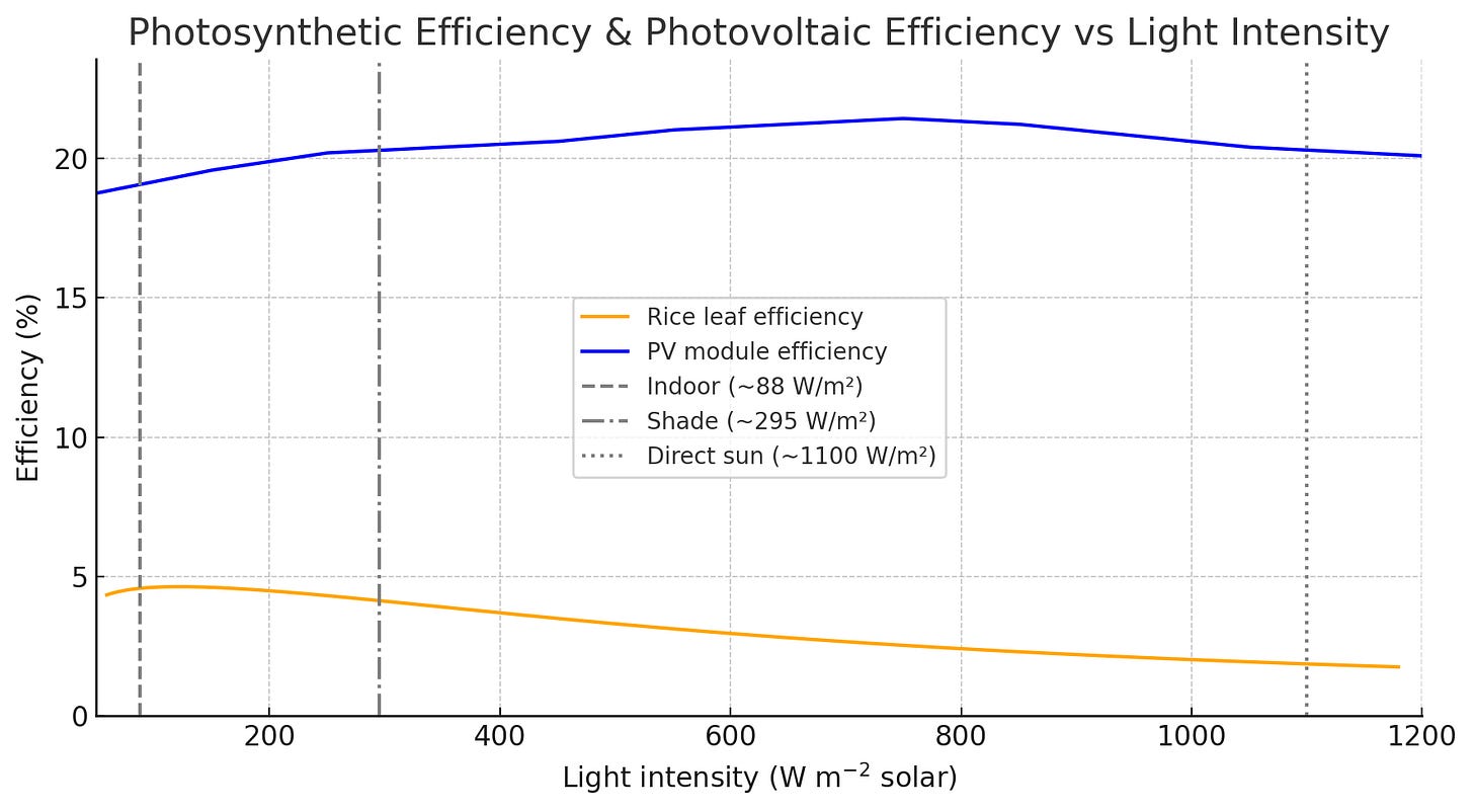 Pasted image 20250621005216.png