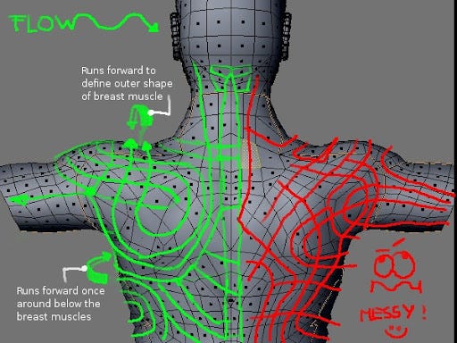 The human back - Page 2 - Modeling - Blender Artists Community