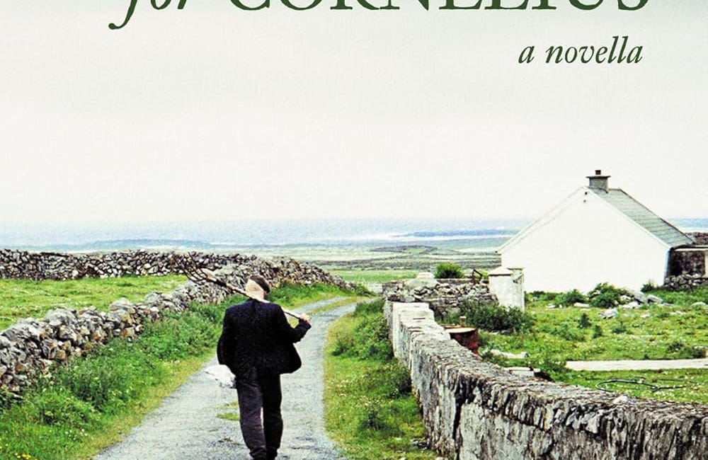 Looking for Cornelius: a Novella by Diana Hayes