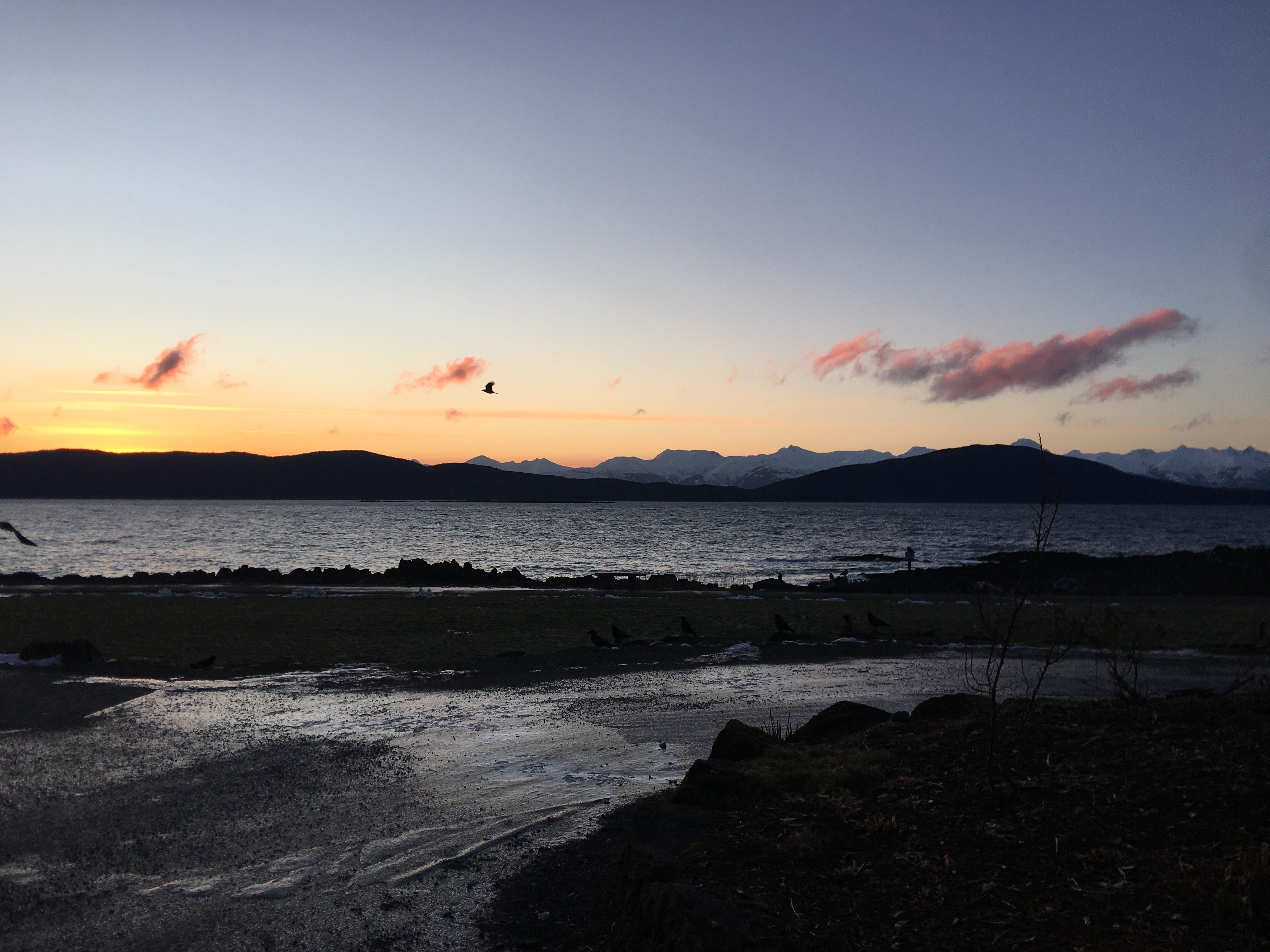 Coffee Stains and Ink Spots