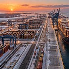 What Does MSC See in Poland?