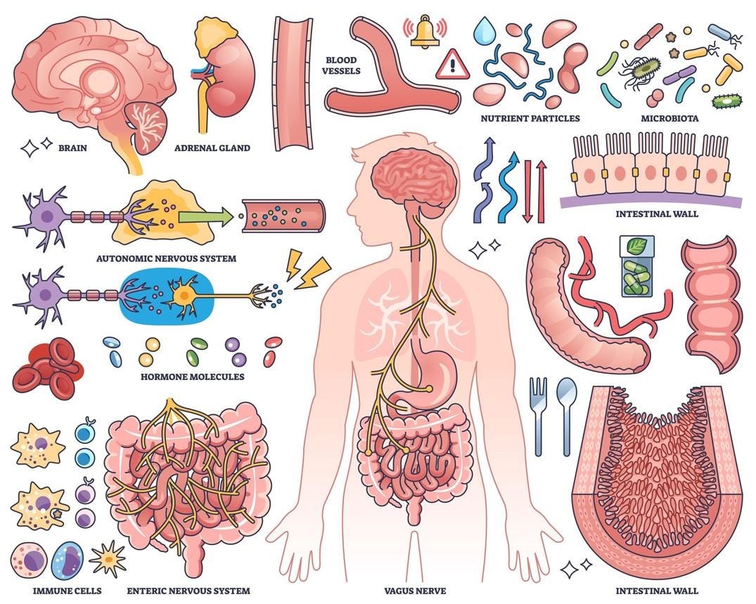 https://images.openai.com/static-rsc-4/0_8KVmASX2FcKmGtJ7QEBfdnPMrcr-l-mrBFVkJABbU8_M60l5jkHs9OVkds7XqstUtYhHSpIx_7rx5DHZwebauVRox8kitrTiLCHlyCeYwvxsB2gQxzTLK5akpcmXSCasBxUYFOieKJi3yhIt1RpQVQMUhYZuse2On5qN8obxyGBzqQdfogEefrHvaZjmnJ?purpose=fullsize