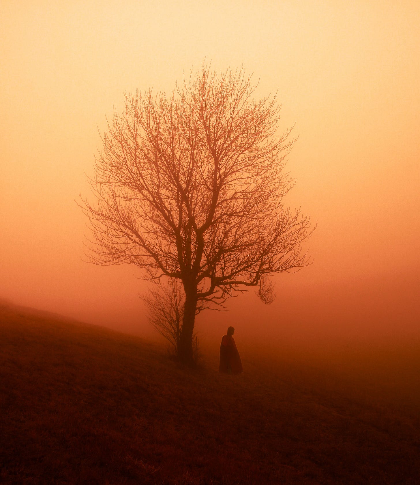 Chronic illness isolation Chronic illness isolation