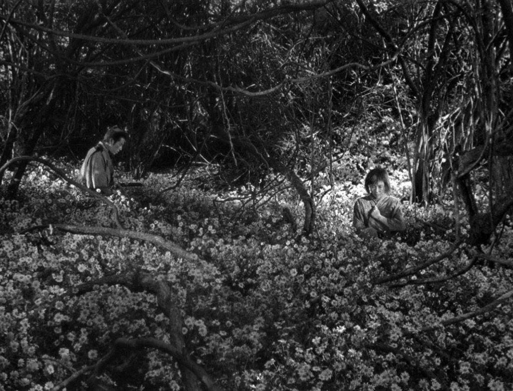 One Perfect Shot on X: "SEVEN SAMURAI (1954) Cinematography by Asakazu  Nakai Directed by Akira Kurosawa Buy, rent or stream via @amazon:  https://t.co/eYJbKmhgko https://t.co/uaFo1jNGv5" / X