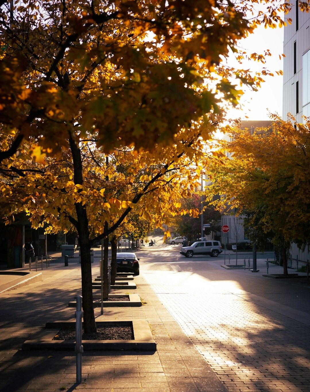 a row of benches sitting on the side of a street a row of benches sitting on the side of a street