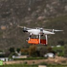 Meet SkyBugs: Drones + Beneficial Insects 