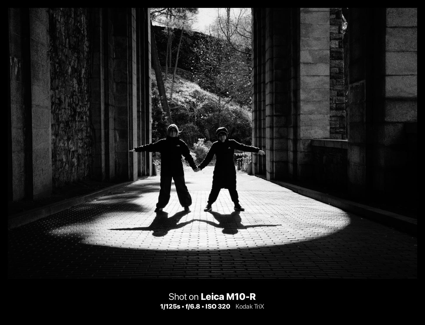 black and white photograph. cameraclara.com all rights reserved.