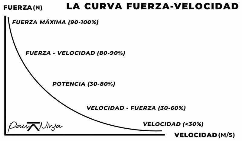 curva fuerza velocidad