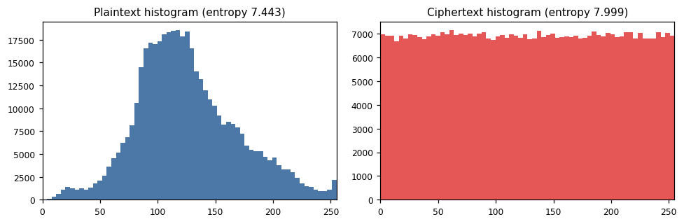 Plaintext histogram is a lumpy hill at entropy 7.443; ciphertext histogram is flat at entropy 7.999